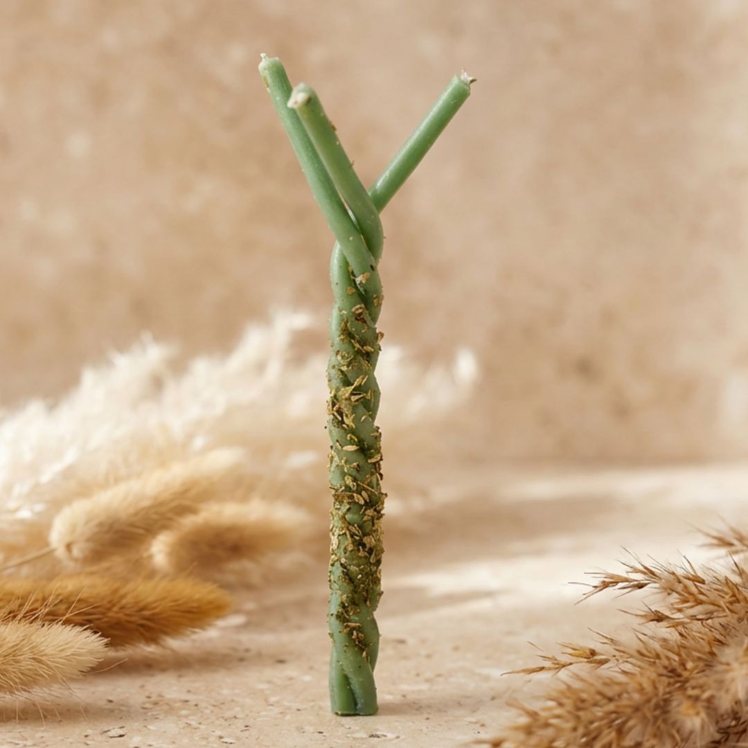 Express Money Tree - thatspiritualshop.de